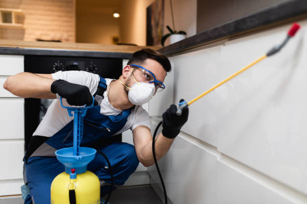 Reliable Westbrook Center, CT Pest Control Solutions