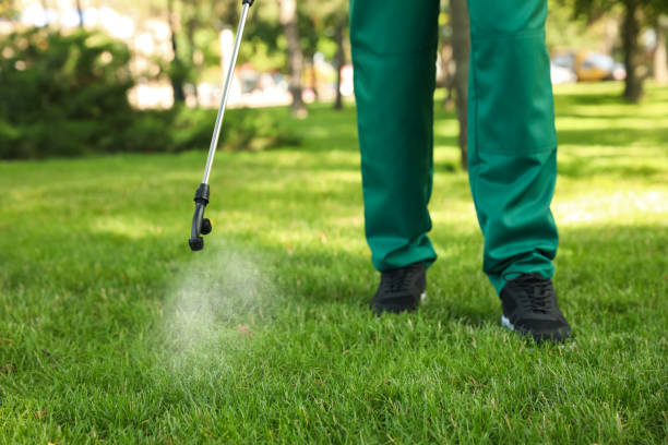 Best Pest Removal Services  in Westbrook Center, CT