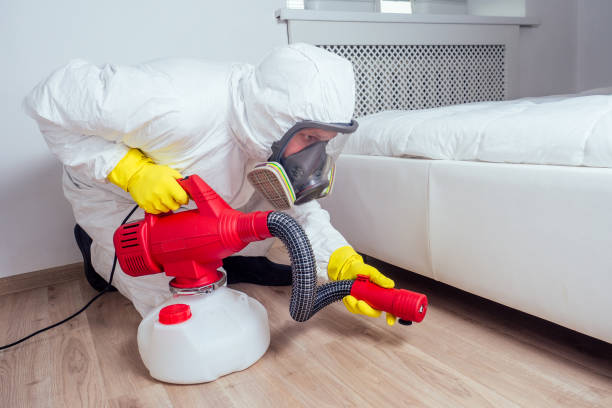 Best Cockroach Control Services  in Westbrook Center, CT