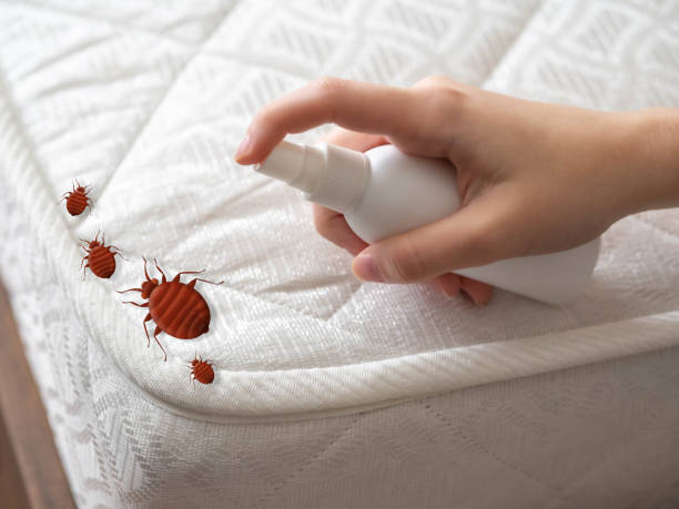Best Pest Control Near Me  in Westbrook Center, CT
