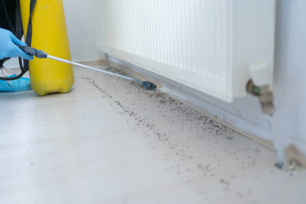 Best Pest Removal Services  in Westbrook Center, CT