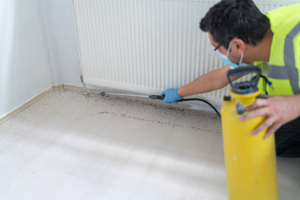 Best Mosquito Control Services  in Westbrook Center, CT